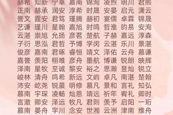 2019年3月19号亥时出生的男孩起名时要注意什么姓名