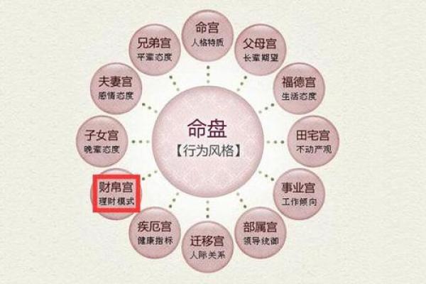 出轨的紫薇斗数