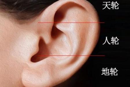 耳朵算命耳朵看运势大全,耳朵命运图解