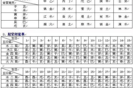紫薇斗数命盘会照