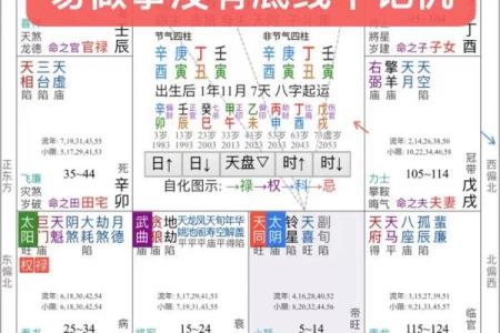 紫薇斗数不知道时辰怎么办