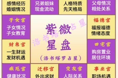 奇门紫薇斗数