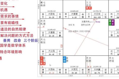 紫薇斗数 四化盘怎么看