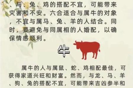 属龙和属狗适合做夫妻吗 配对有什么缺点