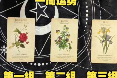 【塔罗运势】诡魅塔罗12星座8月23日运势