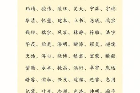 属蛇卯时出生的男孩如何取名字，宜用什么字姓名
