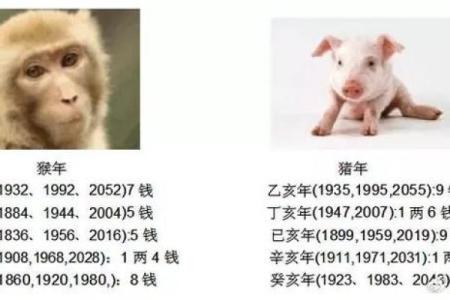 称骨算命准确率多高