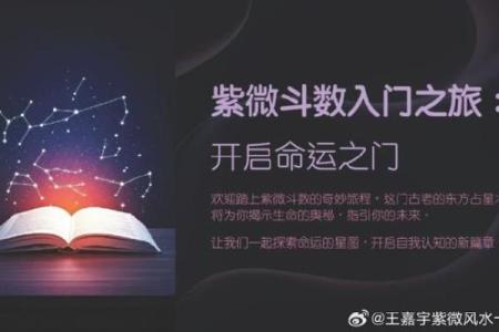 南京紫薇斗数