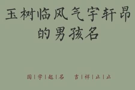 给四月份出生属马的男宝宝取什么名字好姓名