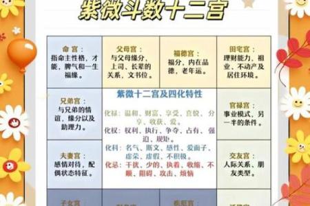 紫微斗数诸星落诸宫之：子女宫