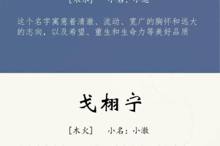 2019年3月19号亥时出生的男孩起名时要注意什么姓名