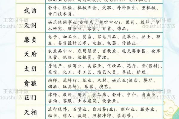 从事艺术紫薇斗数