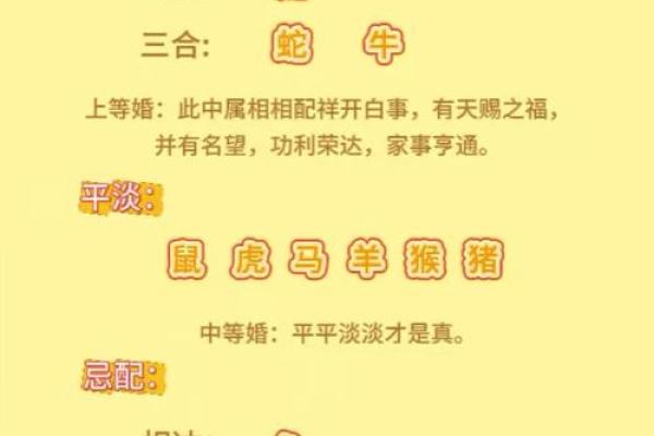 生肖和血型完美匹配你是哪种组合