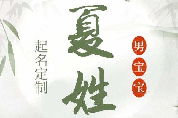 夏姓女孩名字大全-夏姓女孩起名字大全-夏姓名字大全姓名