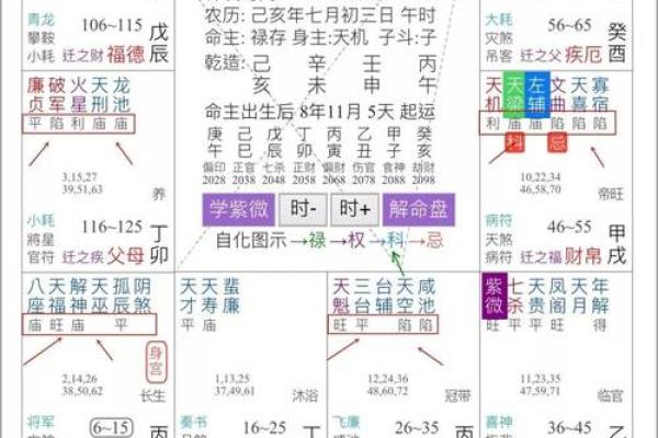 紫微斗数诸星落诸宫之：破军星官禄宫详解