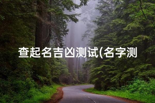姓名测分打分免费测试,周易起名网唯一官网免费
