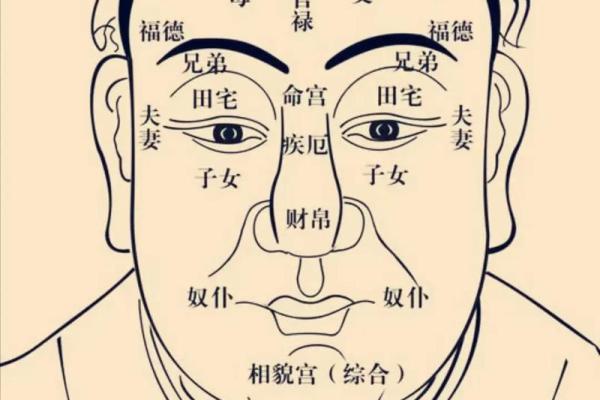 紫薇斗数速成