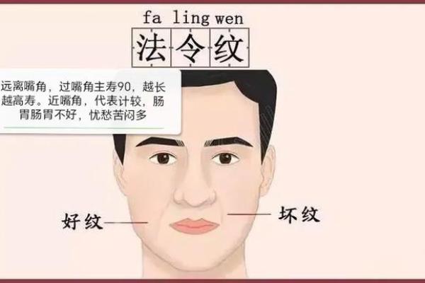 从法令纹看相算命
