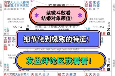 紫微斗数看会拥有美好婚姻的人