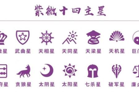从事艺术紫薇斗数