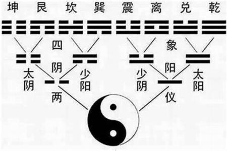 八字四阴四阳