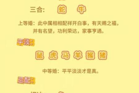 生肖和血型完美匹配你是哪种组合