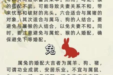 马和羊夫妻生什么生肖配对  马与羊相配