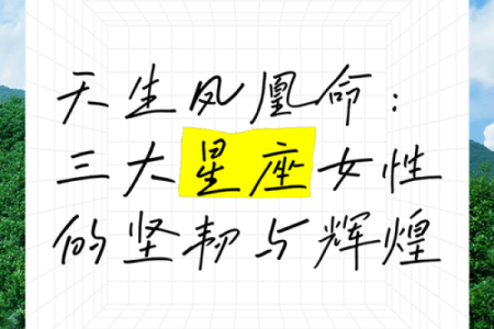 女命带凤凰的八字特点