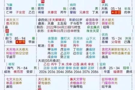 豆瓣紫薇斗数身宫七杀