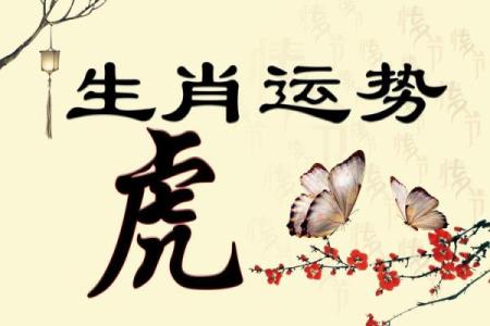 算命年运势属马男