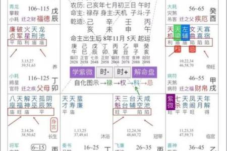 紫微斗数诸星落诸宫之：破军星官禄宫详解