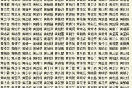2019年5月31号子时出生的男孩应该起什么样的名字姓名