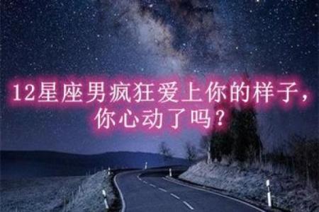 会为双子女付出一切的星座男 把双子女迷得死死的星座男
