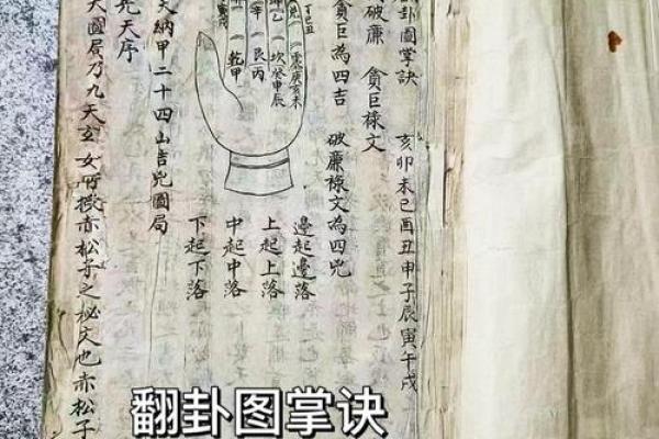 逆天改运？《飞星紫微斗数》古籍揭秘命运织锦，一册在手扭转乾坤