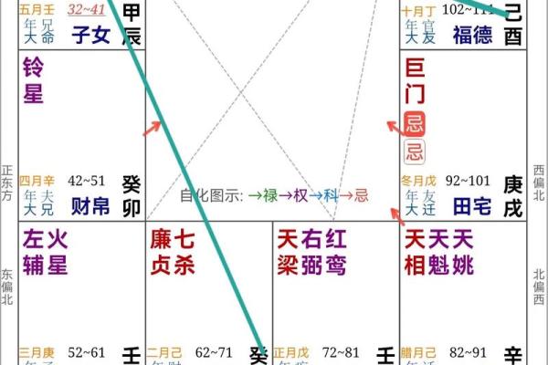 逆天改运？《飞星紫微斗数》古籍揭秘命运织锦，一册在手扭转乾坤