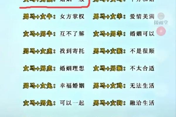 生肖马的姻缘配对，哪些生肖最合适？