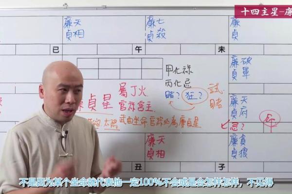 紫薇斗数主星性质：廉贞，天府，贪狼，巨门