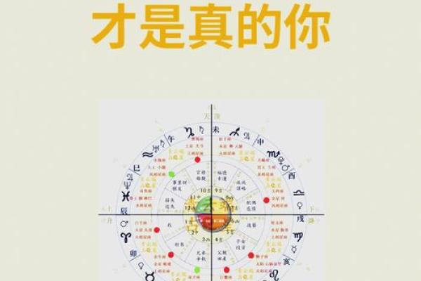 12星座你的出生日期揭示了哪些秘密