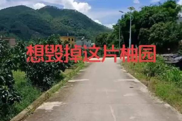 福州市哪里算命最旺人