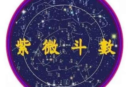 老紫薇斗数