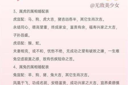 专用姓名配对 姓名配对 急切网？