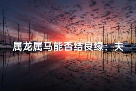 属龙男和属马女姻缘怎么样 属龙男和属马女配对好不好
