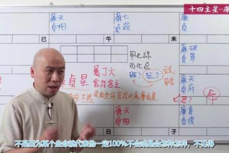 紫薇斗数主星性质：廉贞，天府，贪狼，巨门