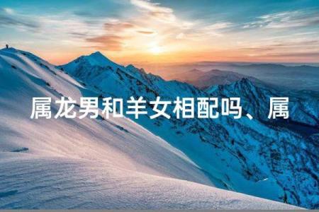 1979属羊最佳配对