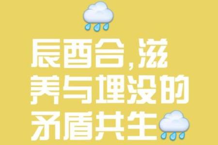 八字辰酉合