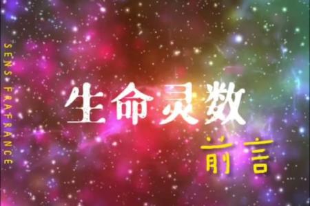 生命灵数测试我适合哪个城市