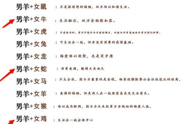属羊的和什么属相配对