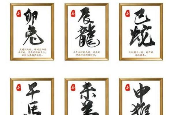 八字看配偶属相
