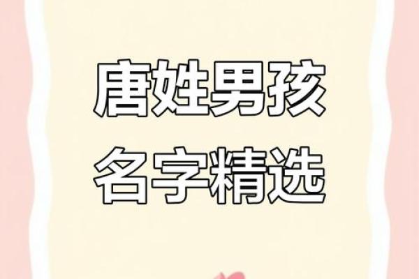 唐姓男孩名字大全-唐姓男孩起名字大全-唐姓名字大全姓名