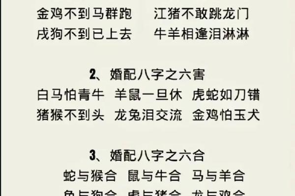 八字合婚 鼠和狗的属相适合做夫妻吗